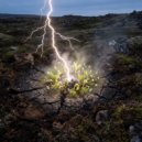 СветМ - Жизни интеграл ()