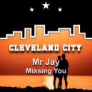 Mr Jay - Missing You (Original Mix)