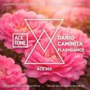 Dario Caminita - Flashdance (Original Mix)