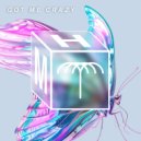 Volkoder, Adam Ten - Got Me Crazy (Extended Mix)